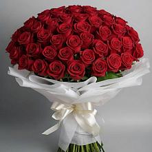 Букет 101 Красная роза Блэк Мэджик в Каргополе