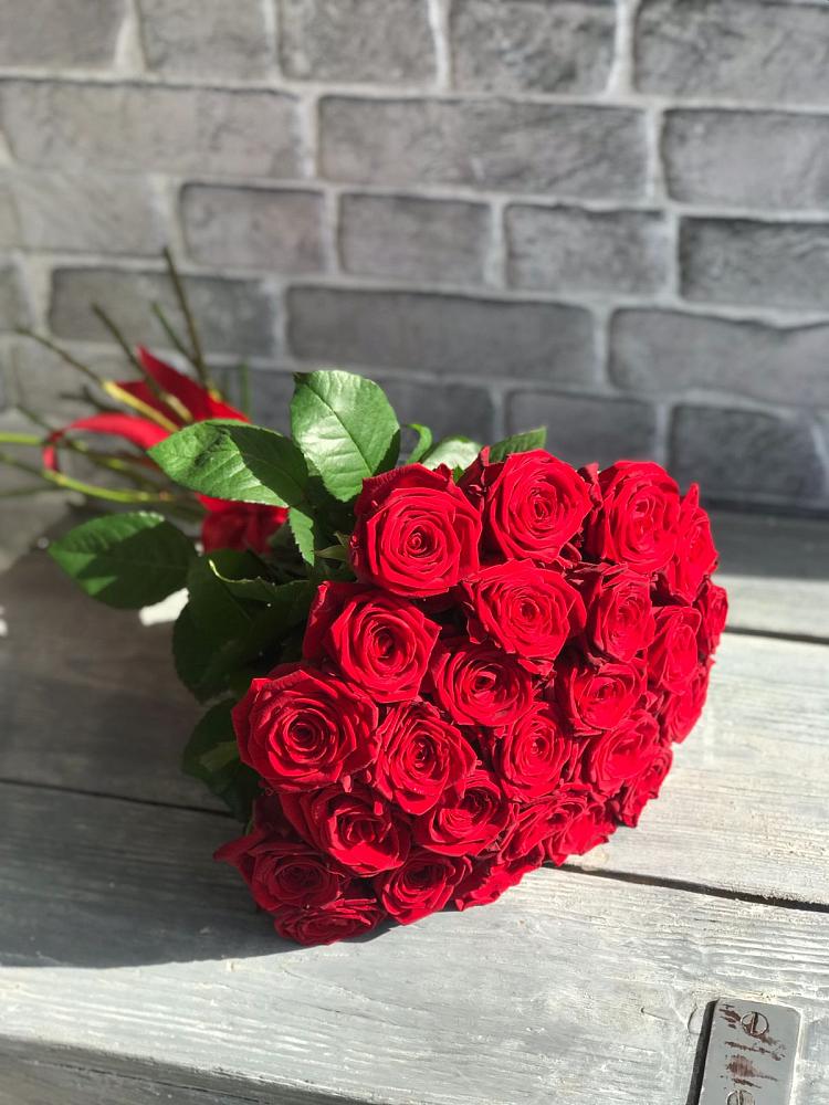 Букет Красные розы Фридом в Каргополе