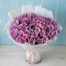 Букет цветов из:  Хризантемы в Каргополе