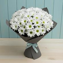 Букет цветов из:  Хризантемы #REPLACE_PRED# Каргополе