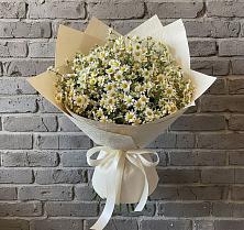 Букет цветов из:  Ромашки в Каргополе