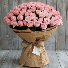 Букет 151 Роза Роуз #REPLACE_PRED# Каргополе