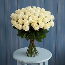 Букет 51 Белая роза Эдлесс Лав #REPLACE_PRED# Каргополе