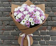 Букет цветов из:  Хризантемы в Каргополе