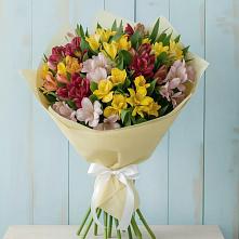 Букет цветов из:  Альстромерии в Каргополе