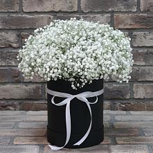 Цветочная композиция из Гипсофила в шляпной коробке #REPLACE_PRED# Каргополе