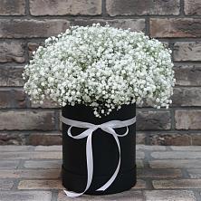 Цветочная композиция из Гипсофила в шляпной коробке в Каргополе