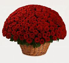 Премиум букет из: Розы в Каргополе