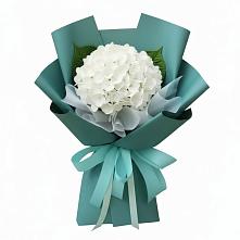 Букет цветов из:  Гортензия #REPLACE_PRED# Каргополе